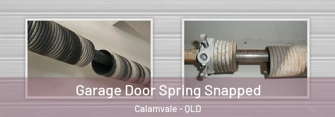  Garage Door Spring Snapped Calamvale - QLD