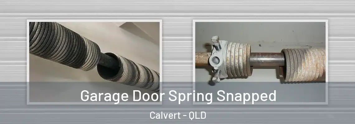  Garage Door Spring Snapped Calvert - QLD