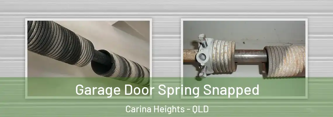  Garage Door Spring Snapped Carina Heights - QLD