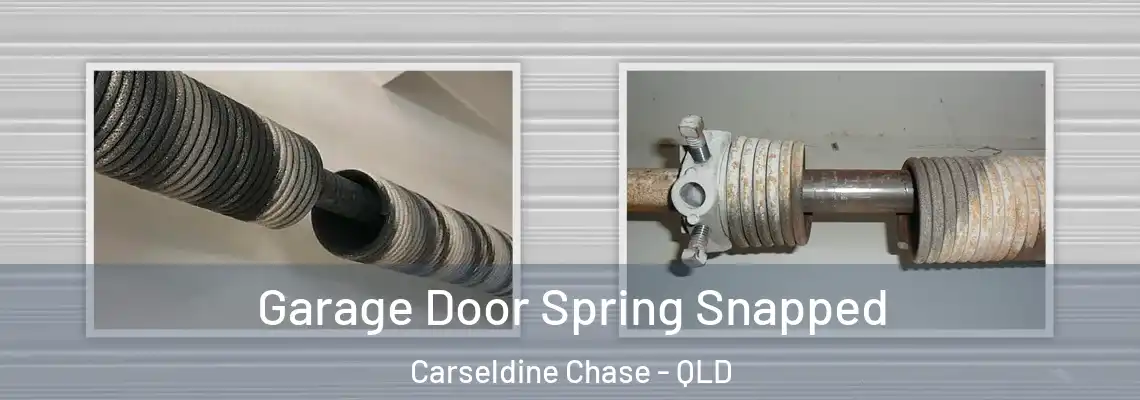 Garage Door Spring Snapped Carseldine Chase - QLD