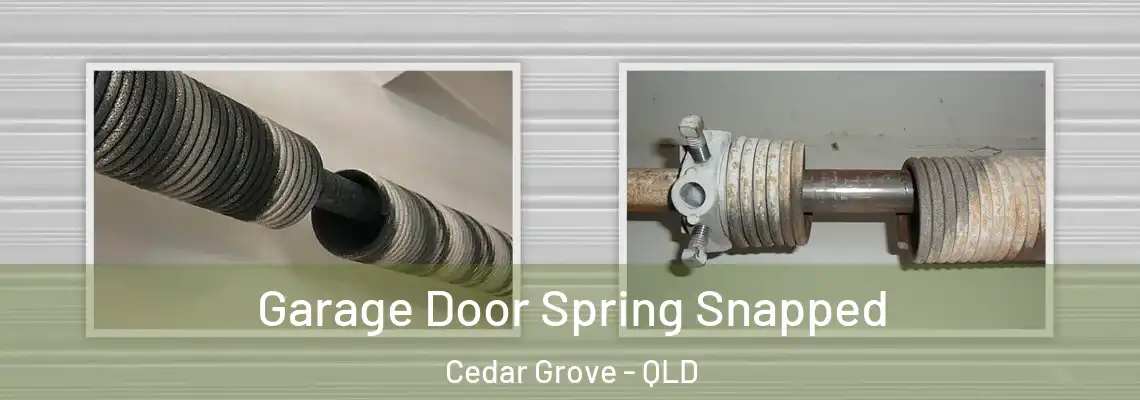 Garage Door Spring Snapped Cedar Grove - QLD