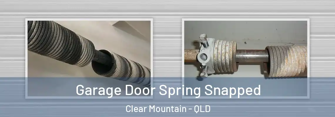 Garage Door Spring Snapped Clear Mountain - QLD