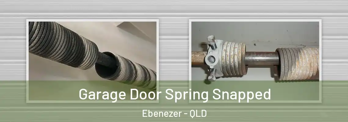  Garage Door Spring Snapped Ebenezer - QLD