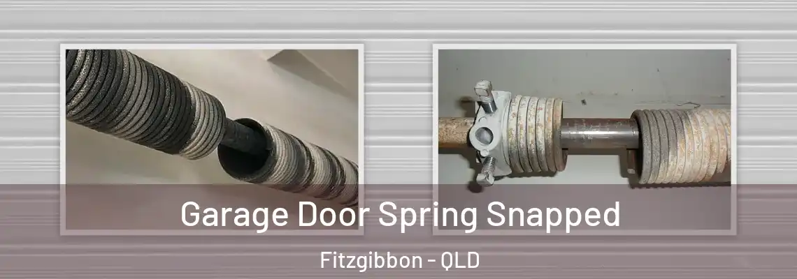  Garage Door Spring Snapped Fitzgibbon - QLD