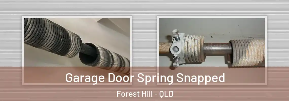 Garage Door Spring Snapped Forest Hill - QLD