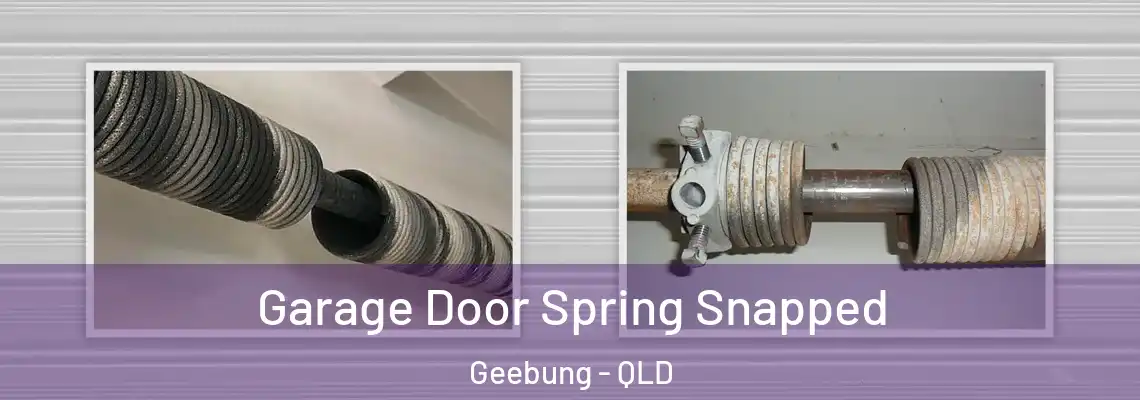  Garage Door Spring Snapped Geebung - QLD