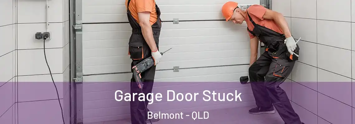  Garage Door Stuck Belmont - QLD