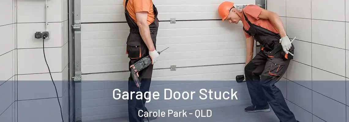 Garage Door Stuck Carole Park - QLD