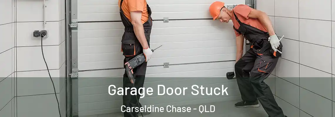  Garage Door Stuck Carseldine Chase - QLD