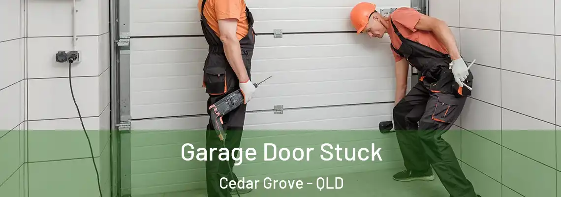  Garage Door Stuck Cedar Grove - QLD