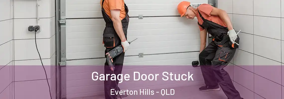 Garage Door Stuck Everton Hills - QLD