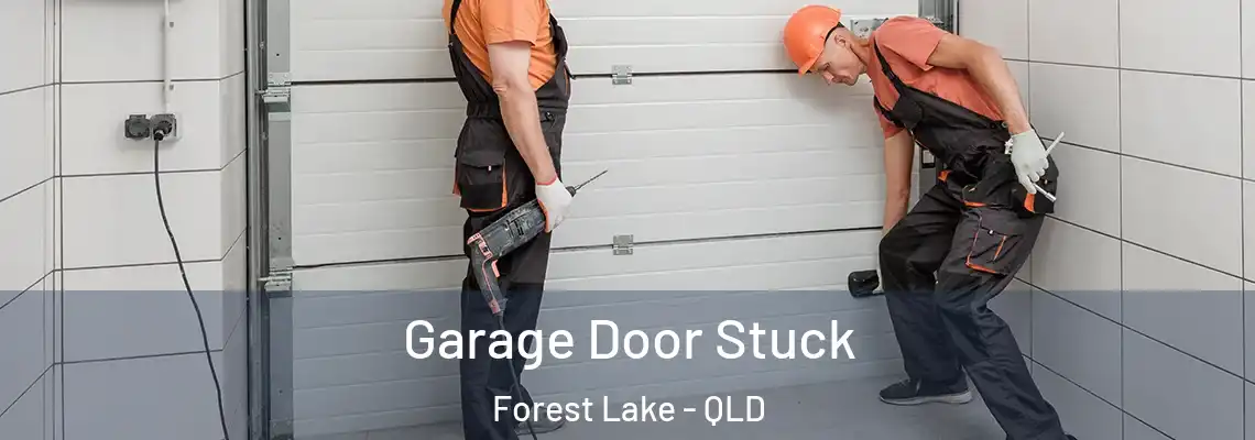 Garage Door Stuck Forest Lake - QLD