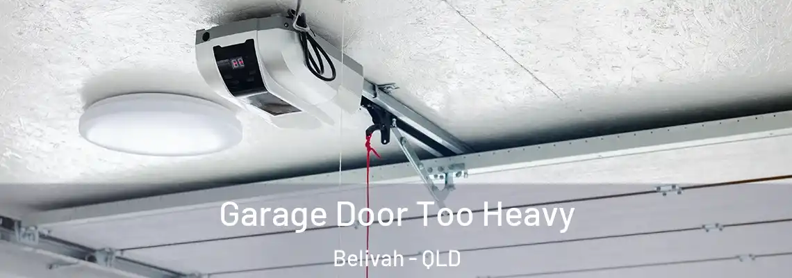  Garage Door Too Heavy Belivah - QLD