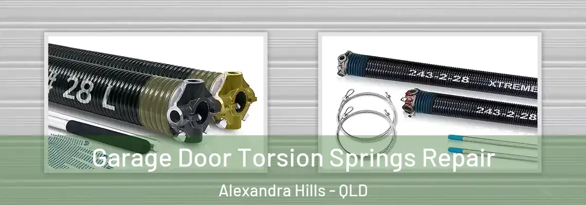 Garage Door Torsion Springs Repair Alexandra Hills - QLD