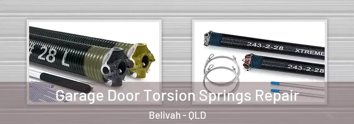 Garage Door Torsion Springs Repair Belivah - QLD
