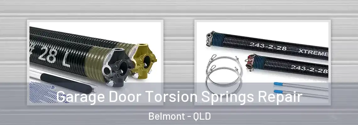 Garage Door Torsion Springs Repair Belmont - QLD