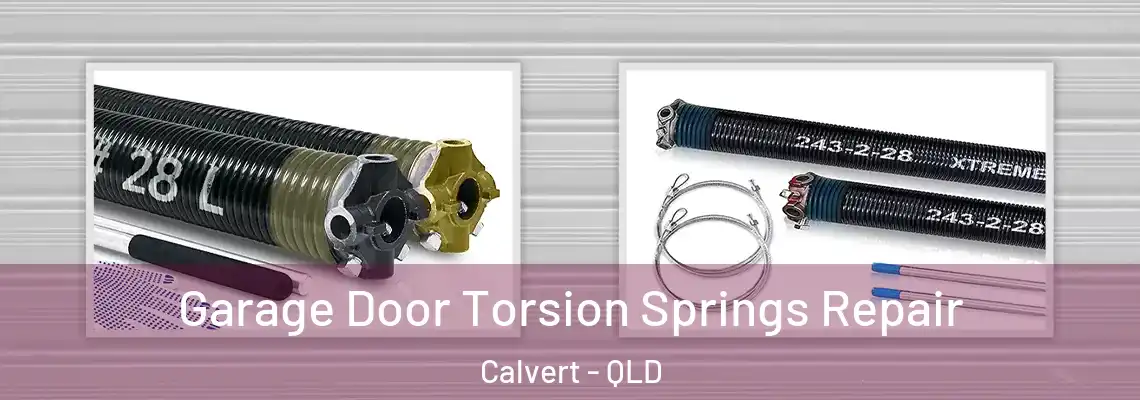  Garage Door Torsion Springs Repair Calvert - QLD