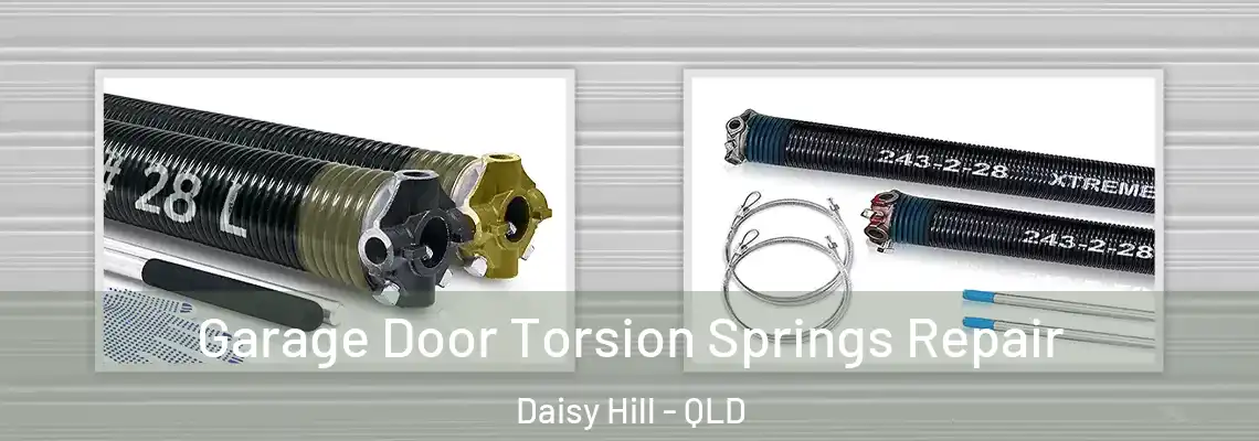 Garage Door Torsion Springs Repair Daisy Hill - QLD