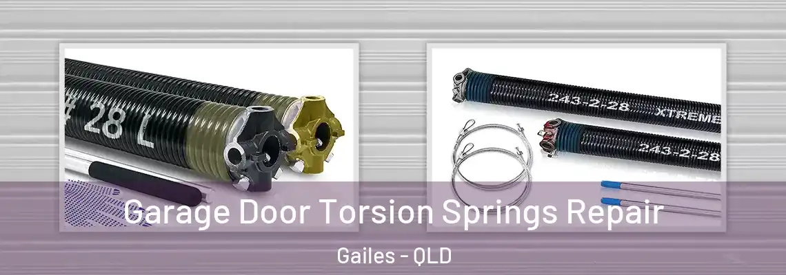 Garage Door Torsion Springs Repair Gailes - QLD