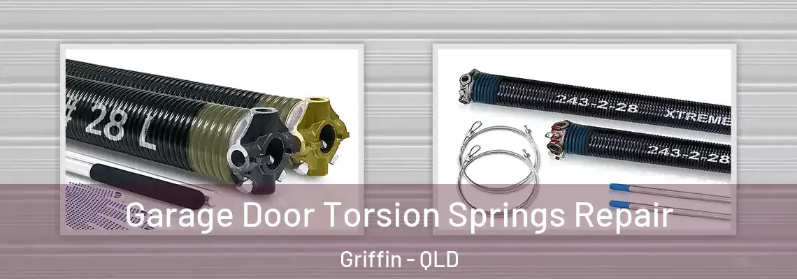  Garage Door Torsion Springs Repair Griffin - QLD