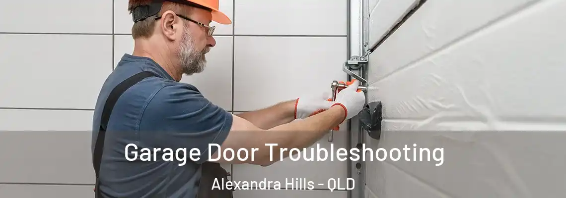 Garage Door Troubleshooting Alexandra Hills - QLD