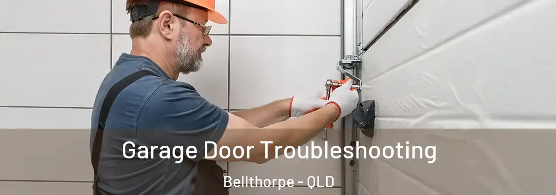  Garage Door Troubleshooting Bellthorpe - QLD