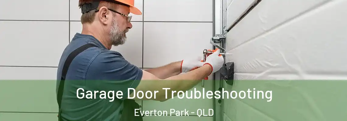 Garage Door Troubleshooting Everton Park - QLD
