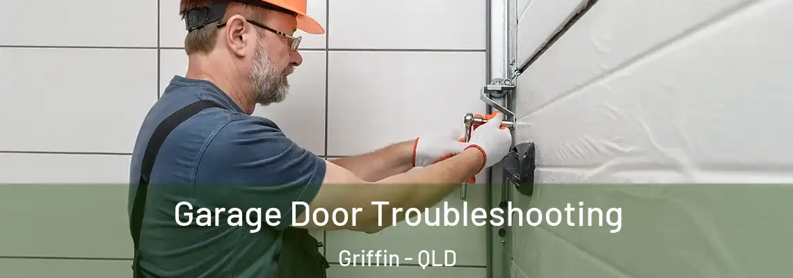  Garage Door Troubleshooting Griffin - QLD