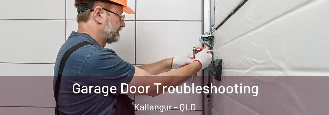  Garage Door Troubleshooting Kallangur - QLD
