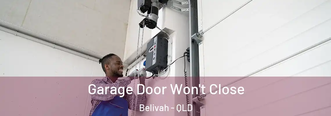  Garage Door Won't Close Belivah - QLD