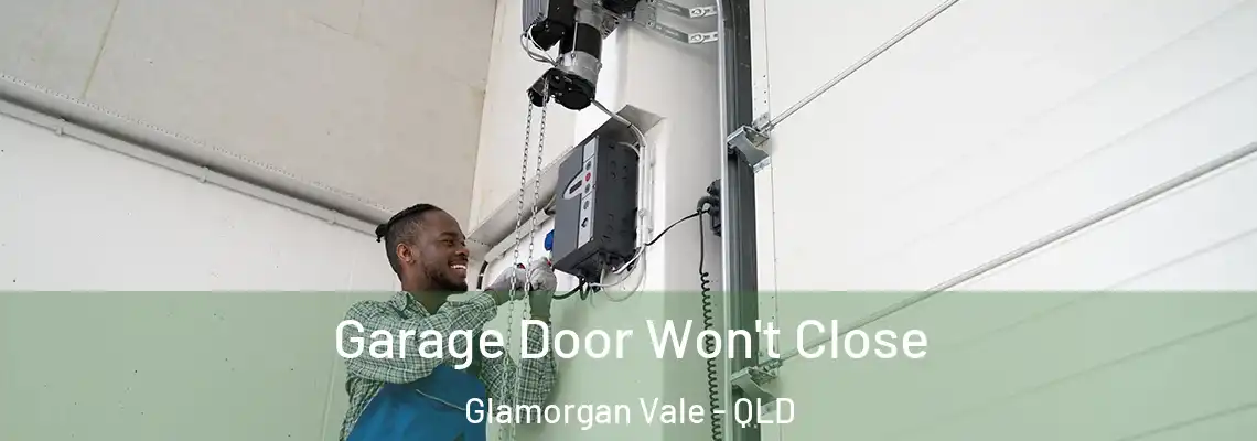  Garage Door Won't Close Glamorgan Vale - QLD
