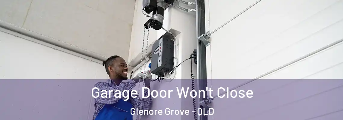 Garage Door Won't Close Glenore Grove - QLD