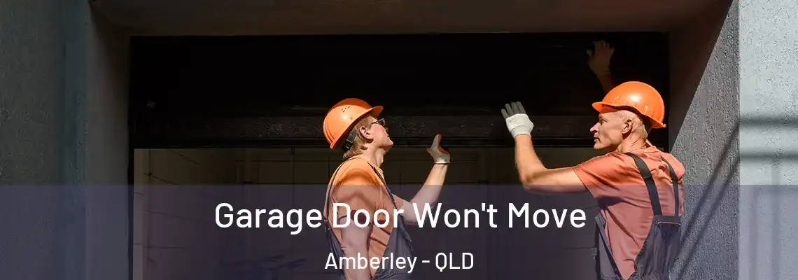 Garage Door Won't Move Amberley - QLD