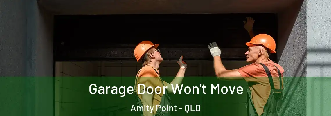 Garage Door Won't Move Amity Point - QLD