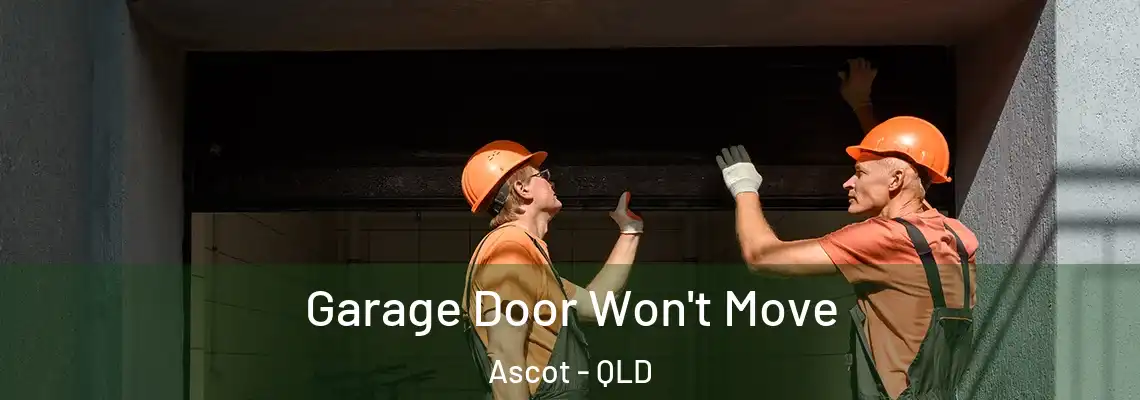 Garage Door Won't Move Ascot - QLD
