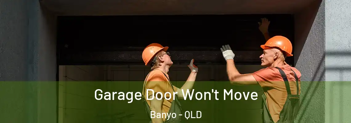  Garage Door Won't Move Banyo - QLD