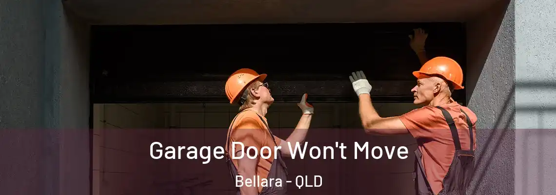 Garage Door Won't Move Bellara - QLD