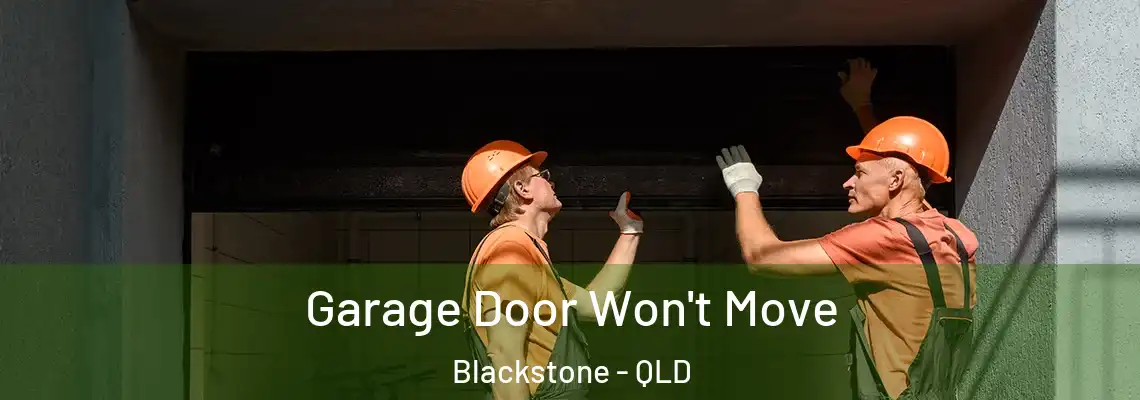  Garage Door Won't Move Blackstone - QLD