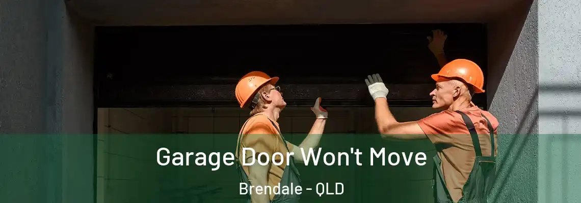 Garage Door Won't Move Brendale - QLD