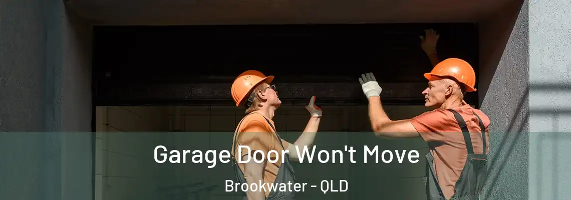 Garage Door Won't Move Brookwater - QLD