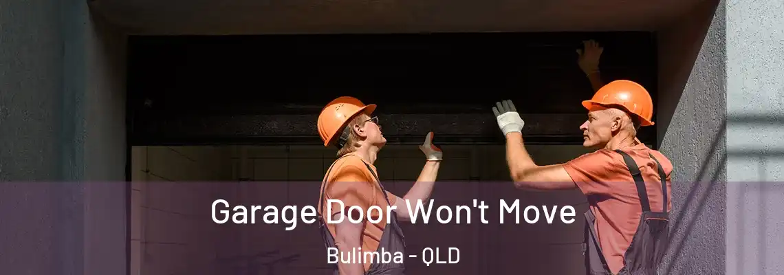 Garage Door Won't Move Bulimba - QLD