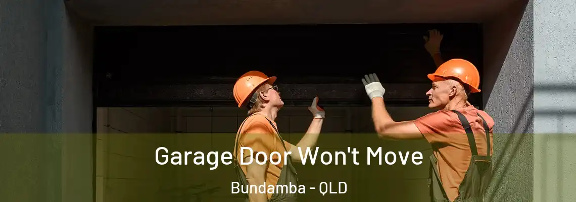 Garage Door Won't Move Bundamba - QLD