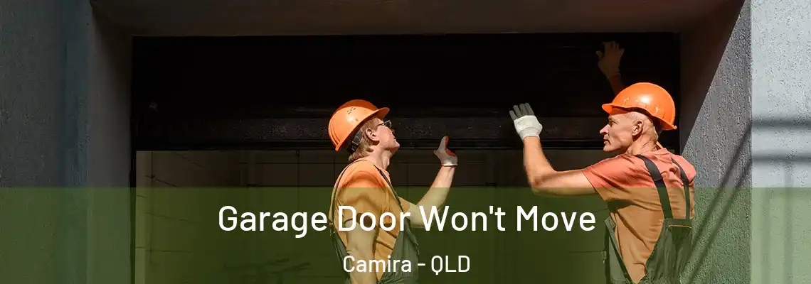  Garage Door Won't Move Camira - QLD