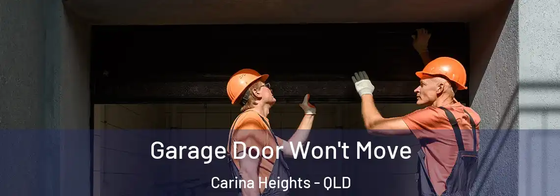  Garage Door Won't Move Carina Heights - QLD