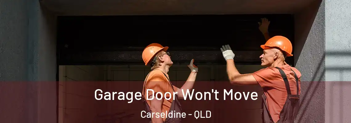 Garage Door Won't Move Carseldine - QLD