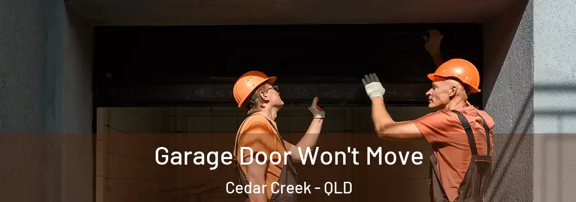 Garage Door Won't Move Cedar Creek - QLD