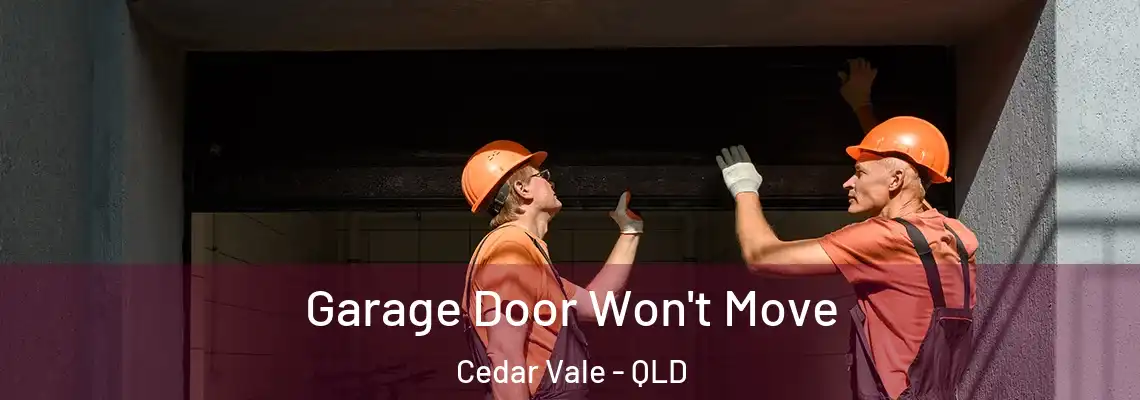  Garage Door Won't Move Cedar Vale - QLD