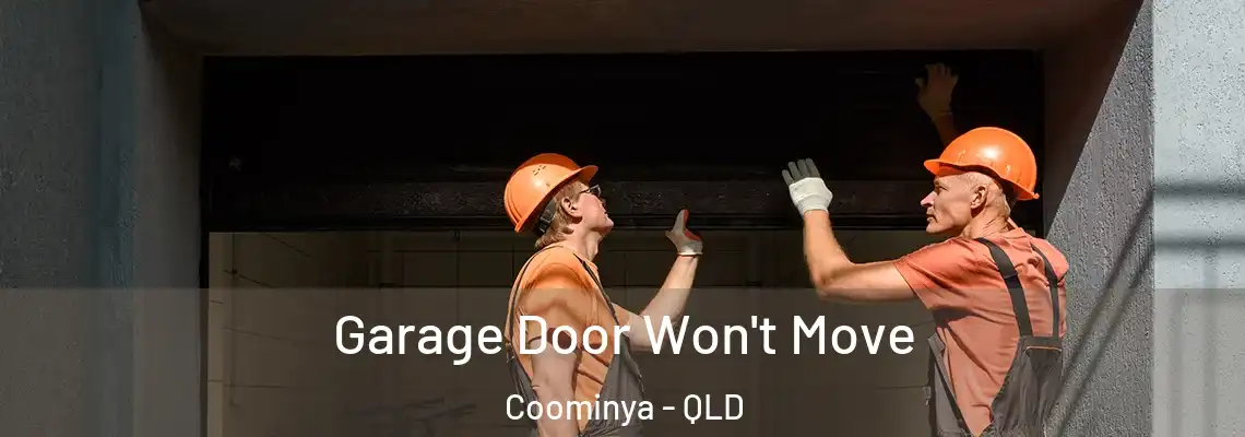 Garage Door Won't Move Coominya - QLD