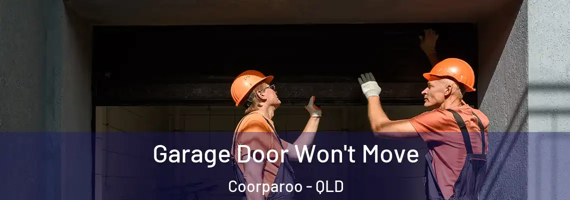 Garage Door Won't Move Coorparoo - QLD