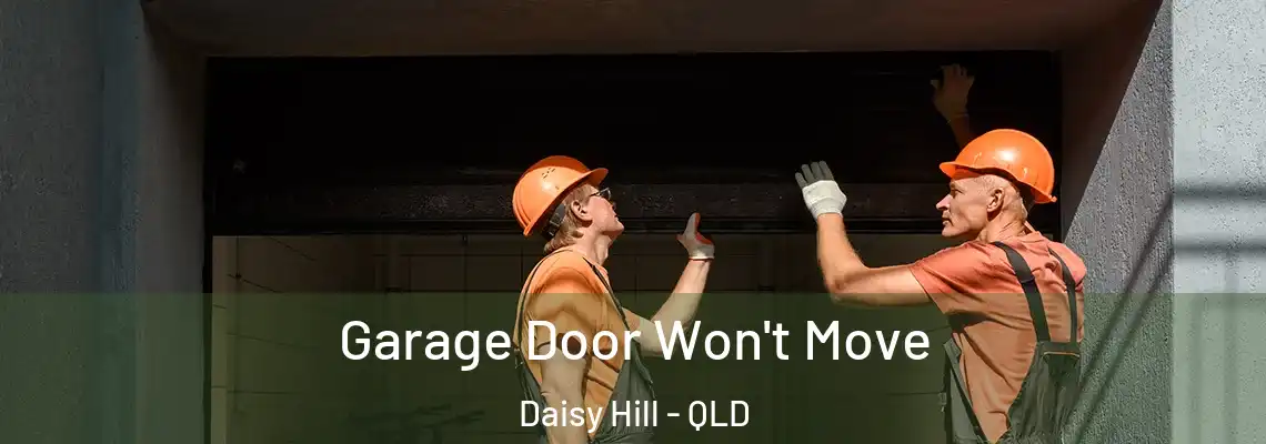  Garage Door Won't Move Daisy Hill - QLD